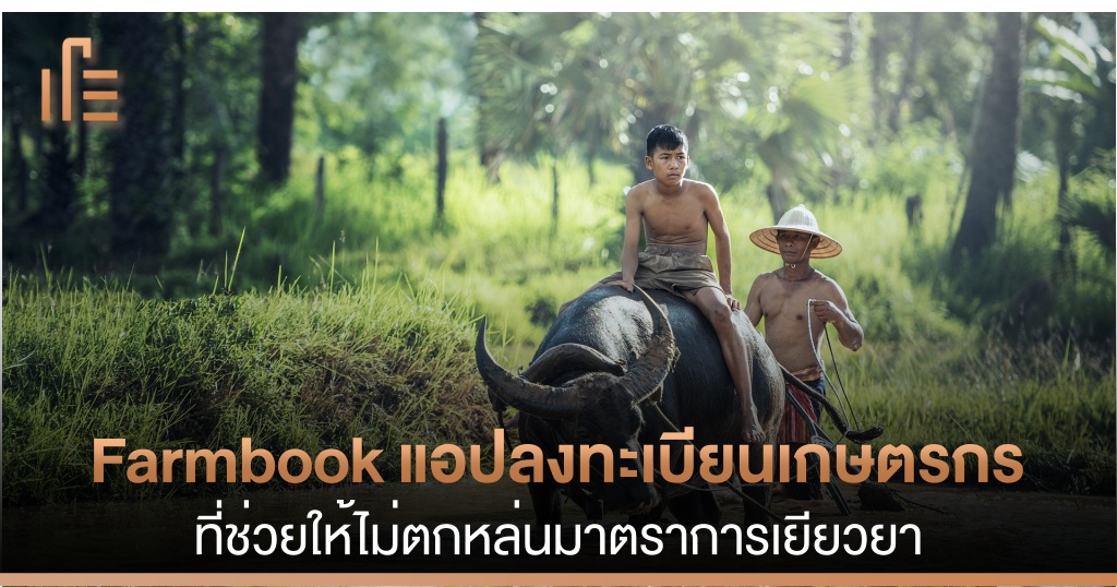 Farmbook แอปลงทะเบ ยนเกษตรกรท ช วยให ไม ตกหล นมาตราการเย ยวยา Thumbsup