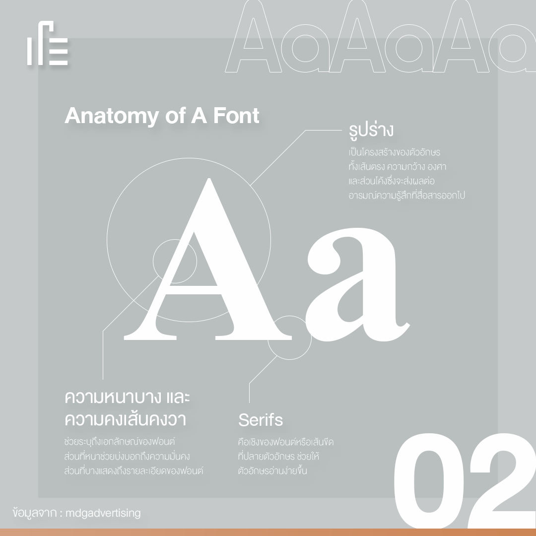 Font101 ทุกเรื่องที่แบรนด์ต้องรู้ • Thumbsup