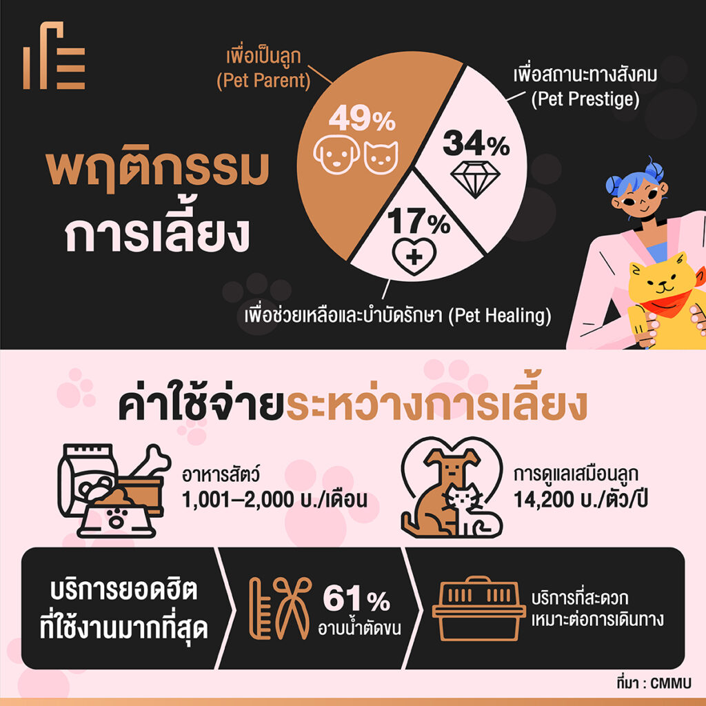 คนไทยเลี้ยงสัตว์แทนลูก ยอมจ่ายค่าดูแลทูนหัว 1-2 หมื่น/ตัว/ปี • Thumbsup
