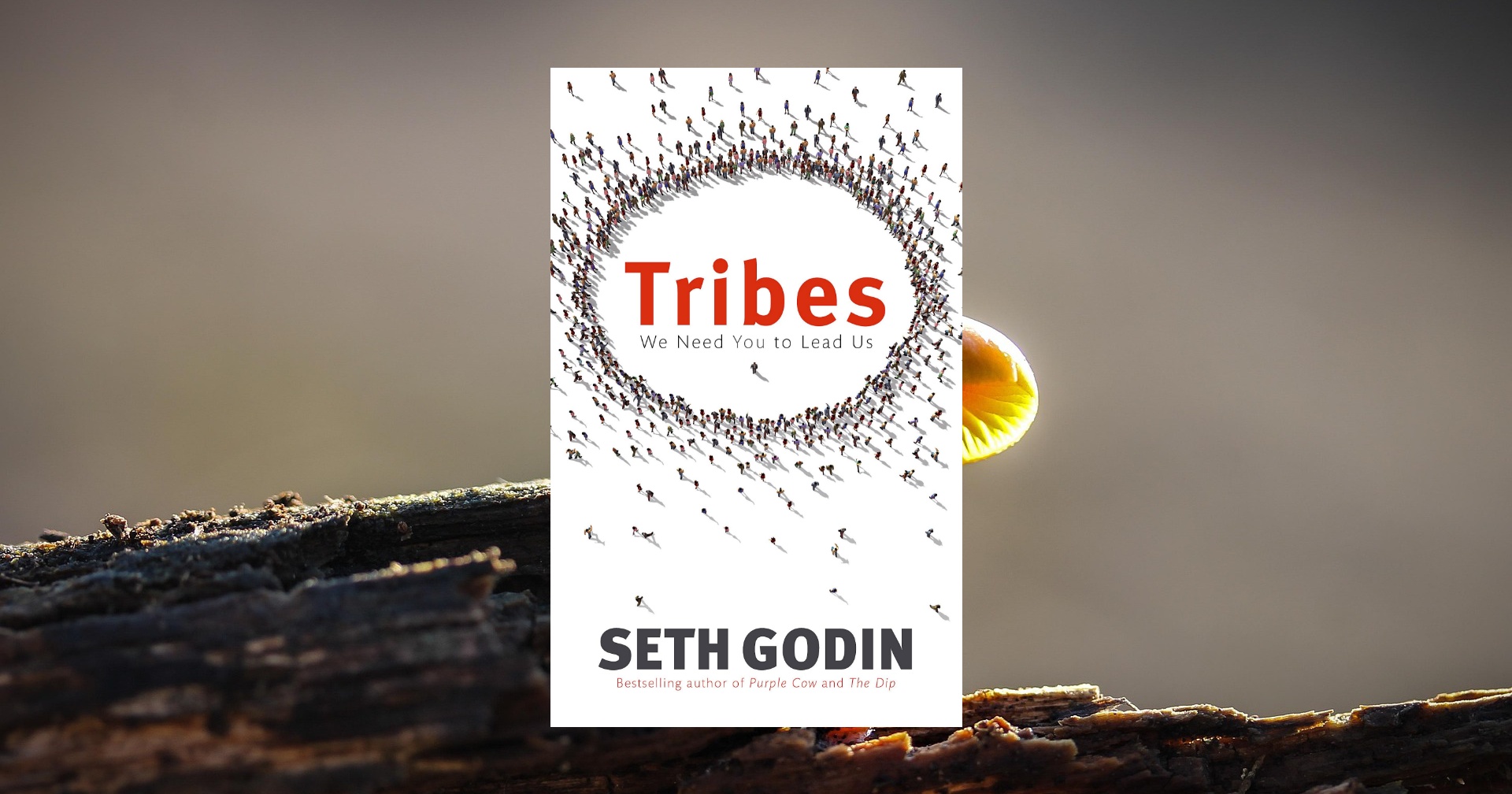 Tribes Seth Godin