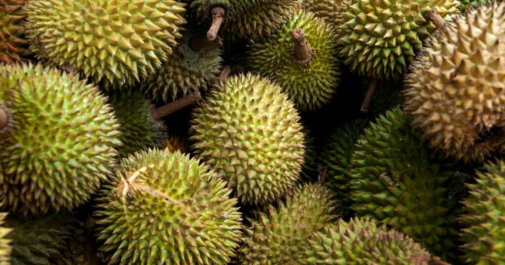 ทุเรียน