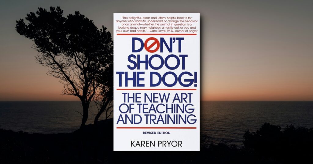 Don't Shoot The Dog!